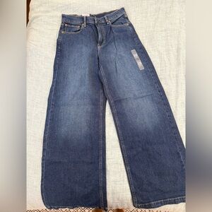 GAP Blue Flare Wide Leg Jeans